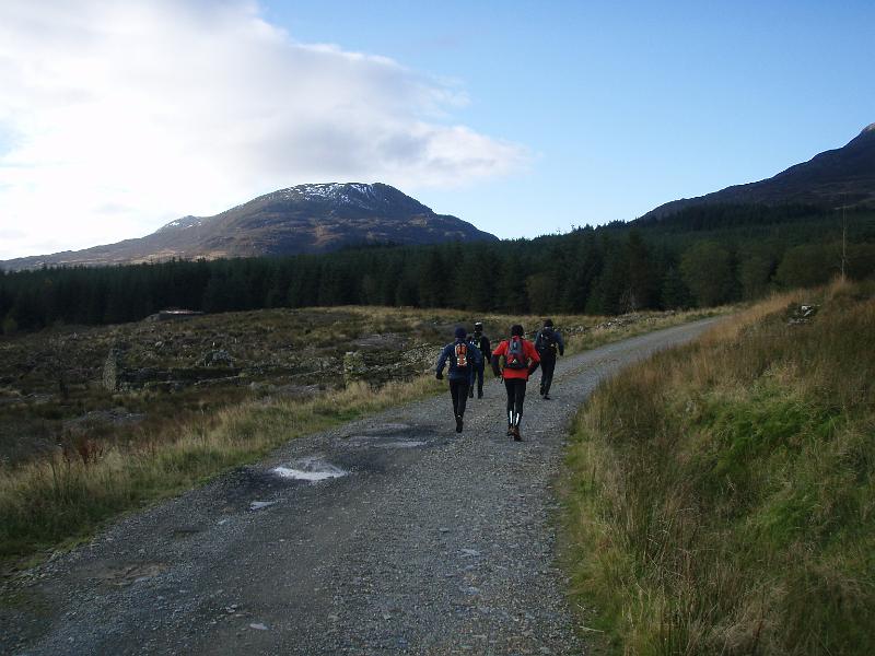 Forest track - leg 2.jpg